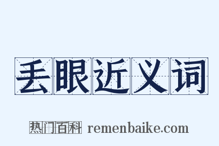 丢眼近义词是什么意思的图片